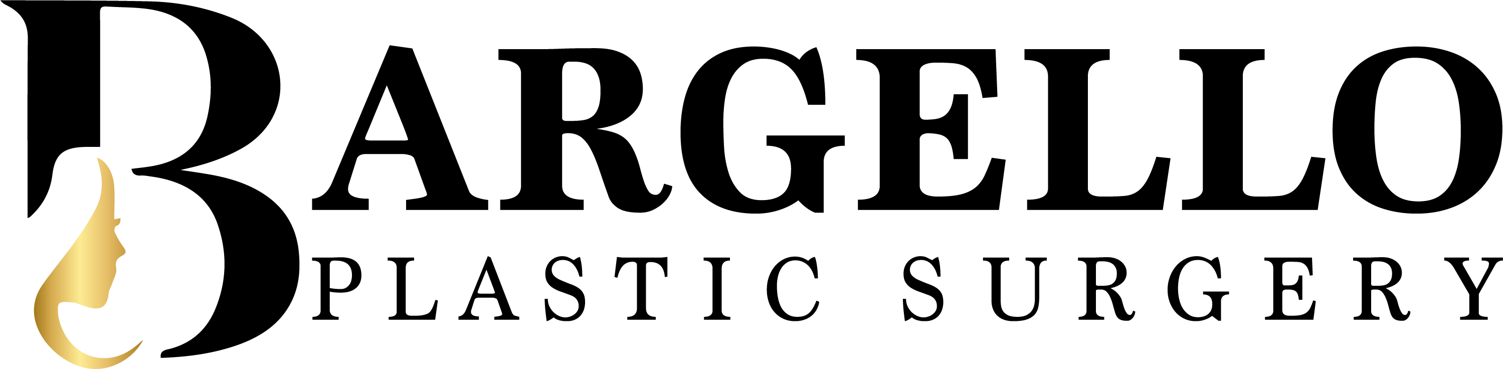 BARGELLO - PLASTIC SURGERY - Frankfurt Logo